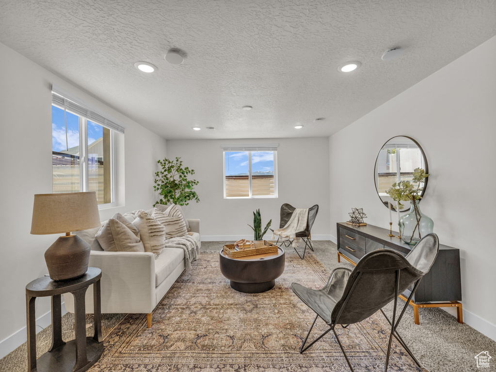 Carpeted living room featuring baseboards, a textured ceiling, and recessed lighting