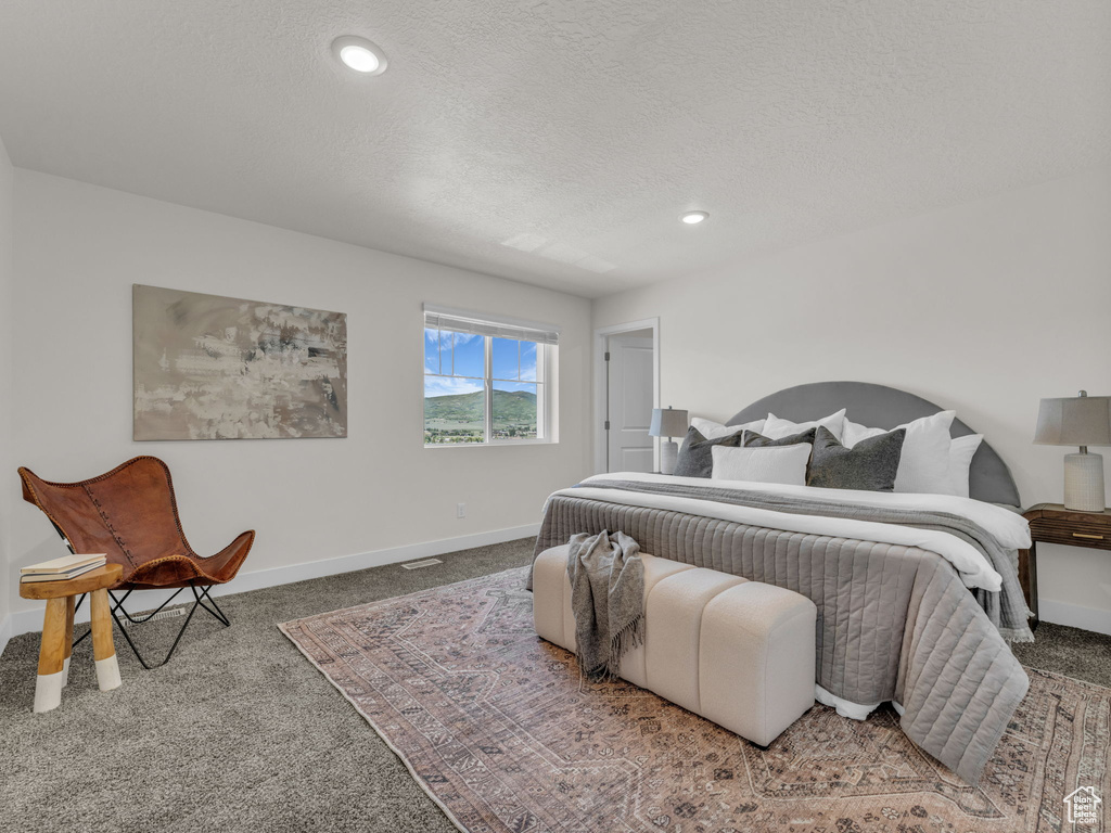 Carpeted bedroom with baseboards, a textured ceiling, and recessed lighting