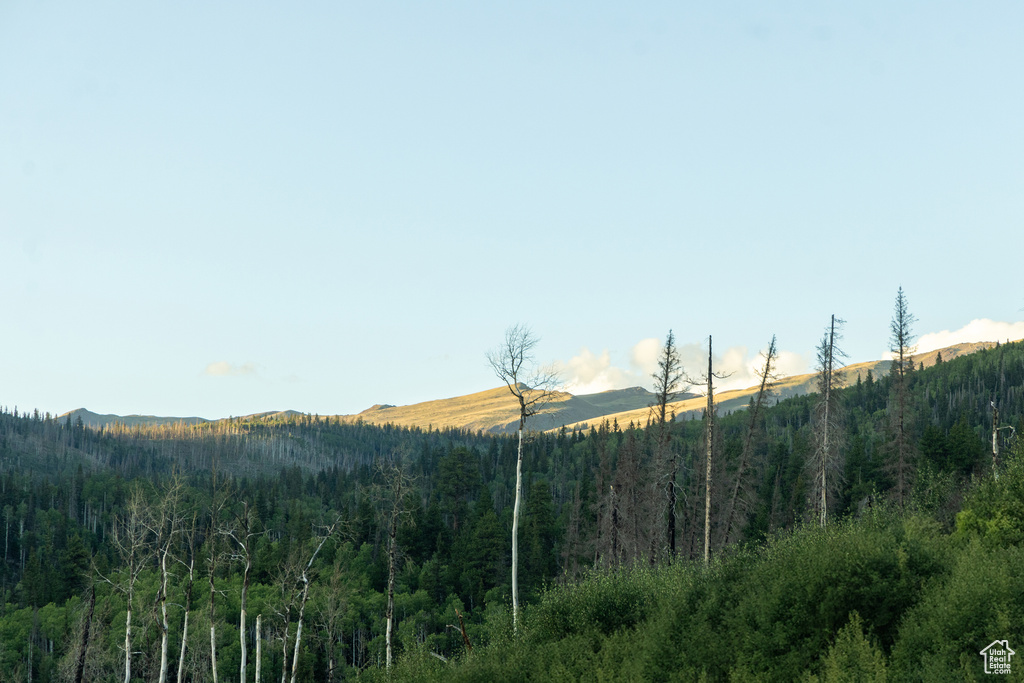 View of mountain feature