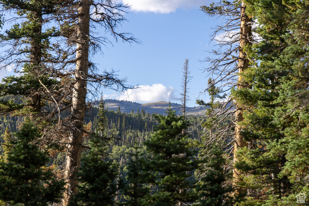 Property view of mountains