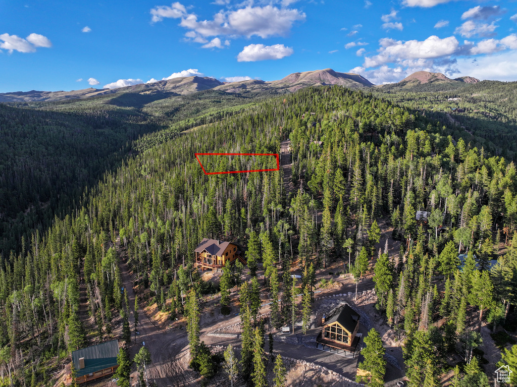 Drone / aerial view featuring a mountain view