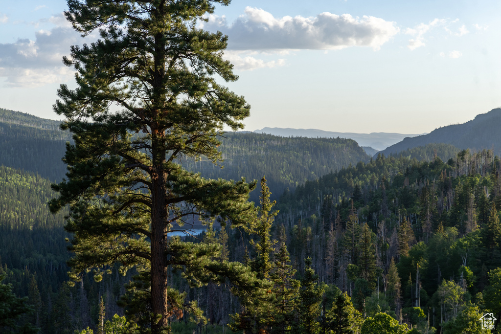 View of mountain feature