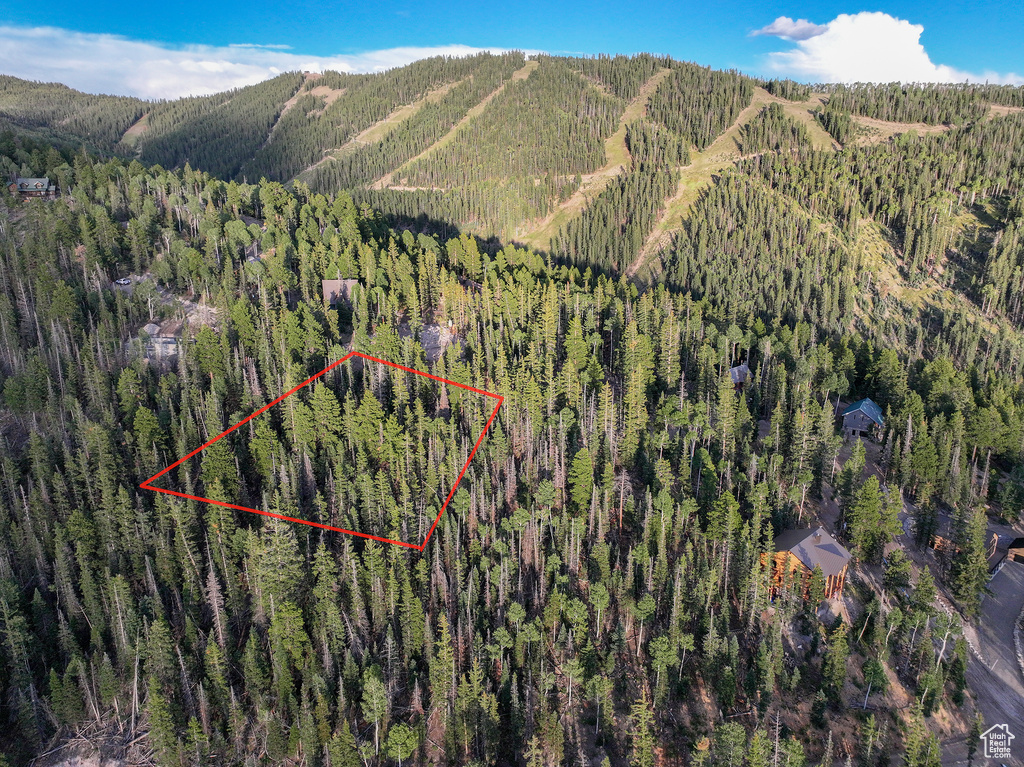 Birds eye view of property with a mountain view