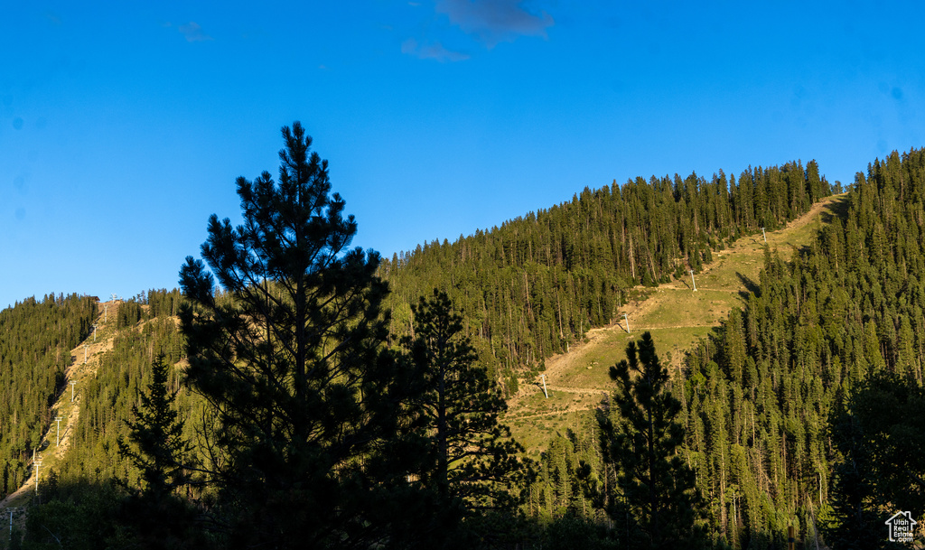 View of landscape