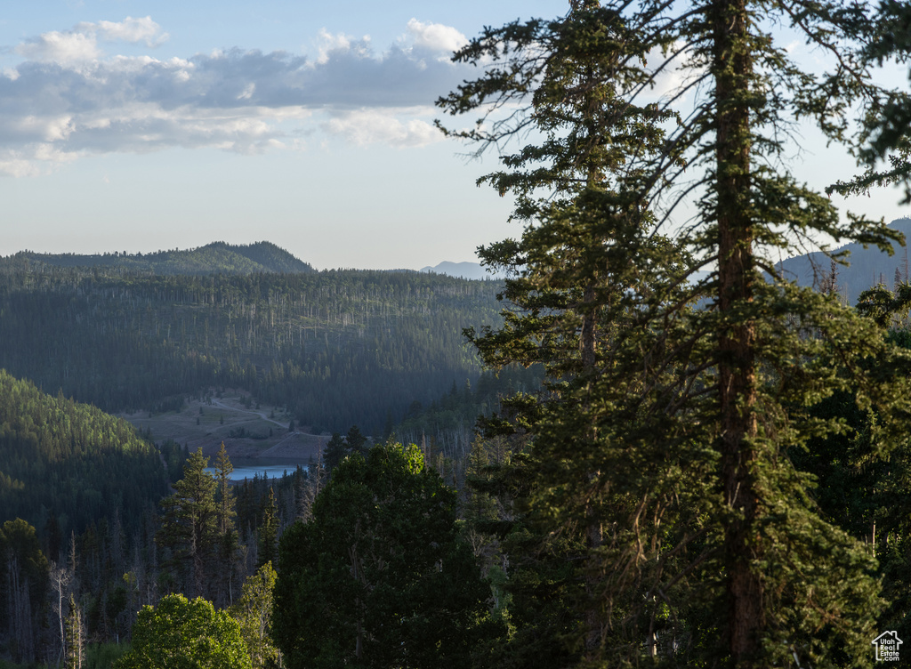 Property view of mountains