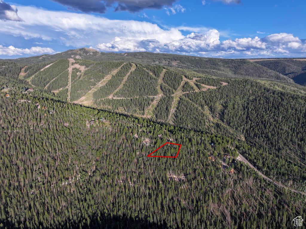 Bird's eye view featuring a mountain view