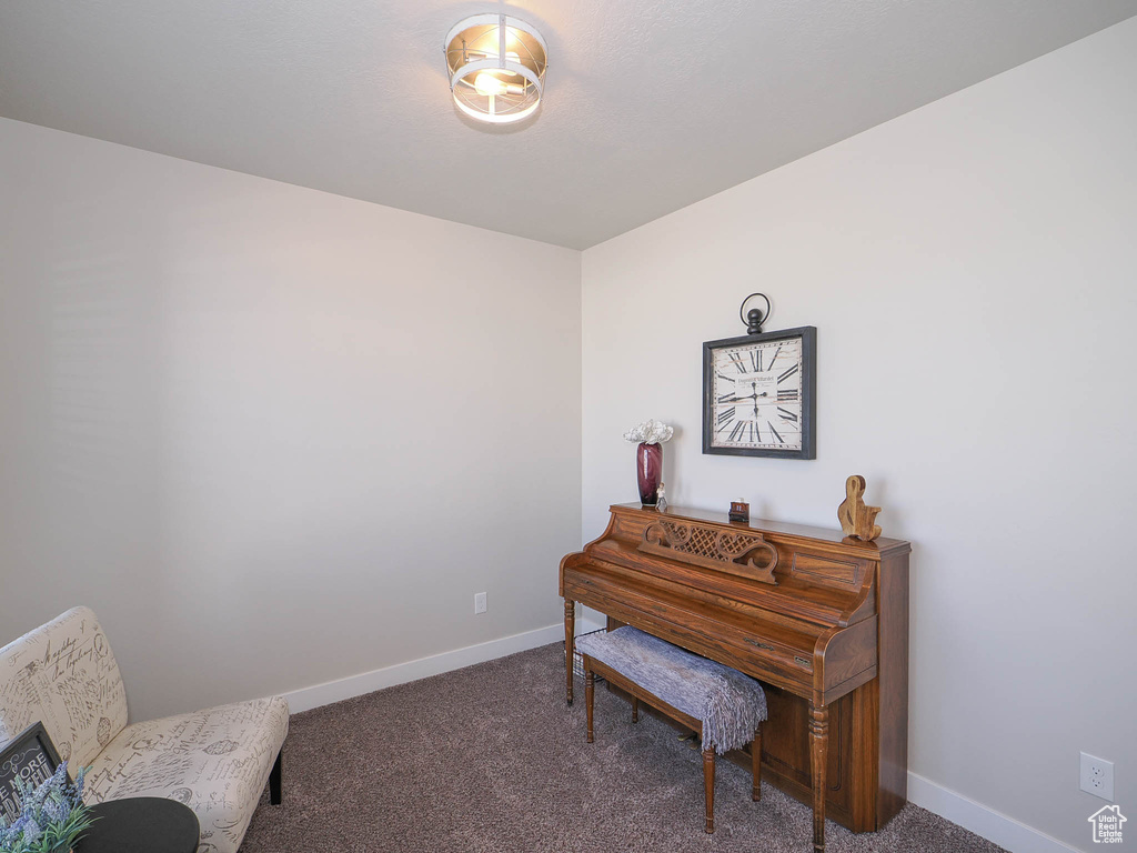 Living area with dark colored carpet