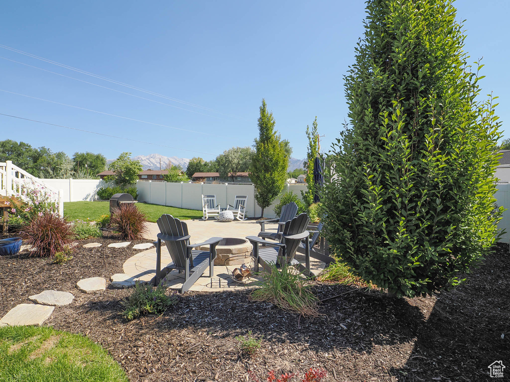 View of yard featuring a patio