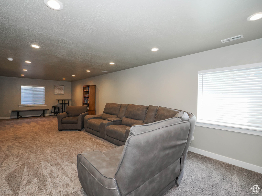 Carpeted living room with a textured ceiling