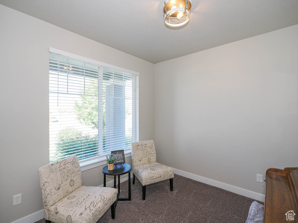 Living area with carpet floors