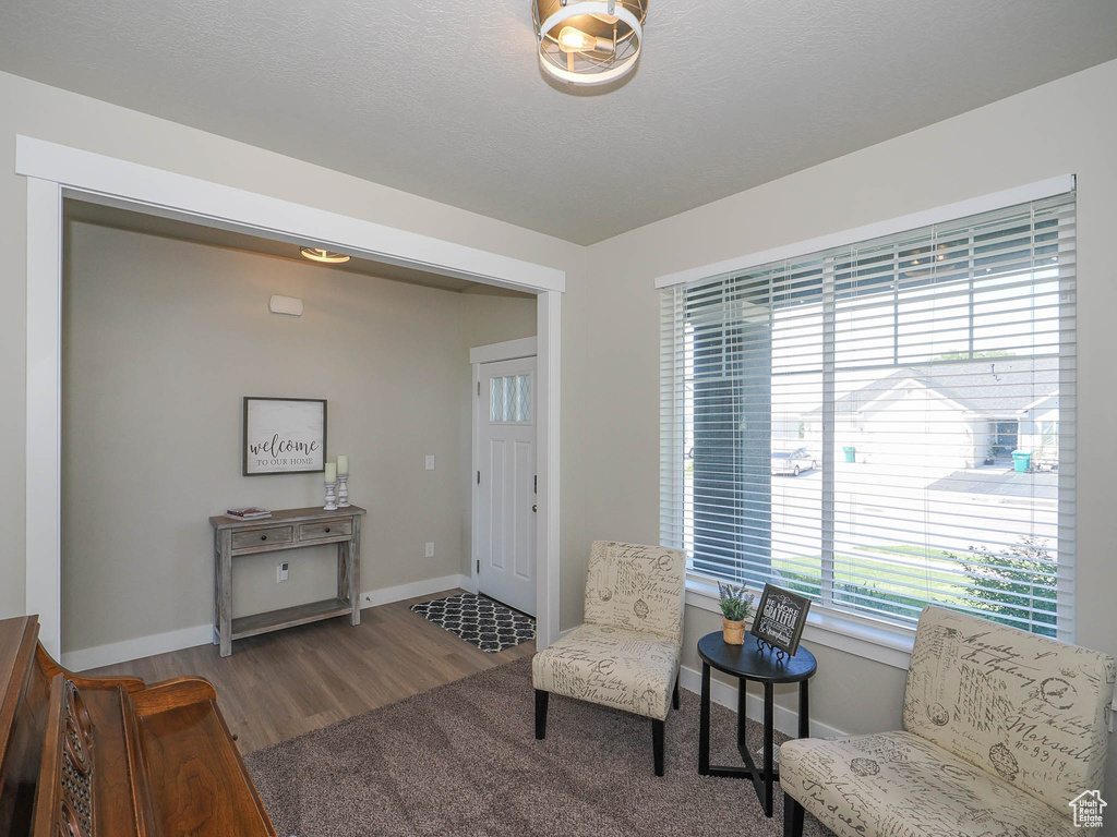 Sitting room with hardwood / wood-style flooring and a wealth of natural light