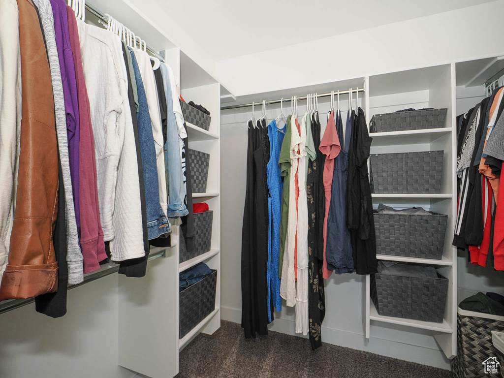 Spacious closet featuring dark carpet