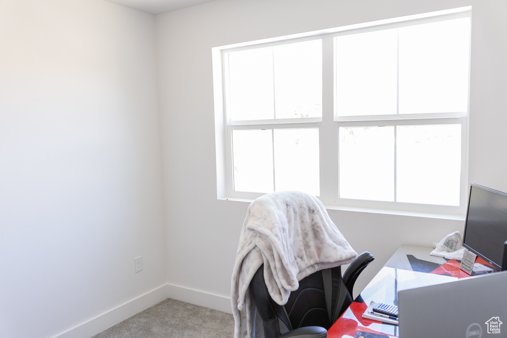 Home office with carpet flooring