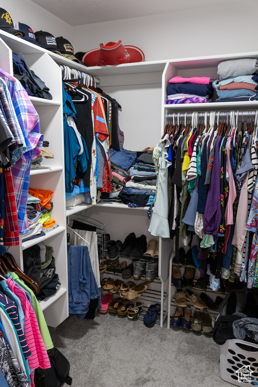 Spacious closet with carpet flooring