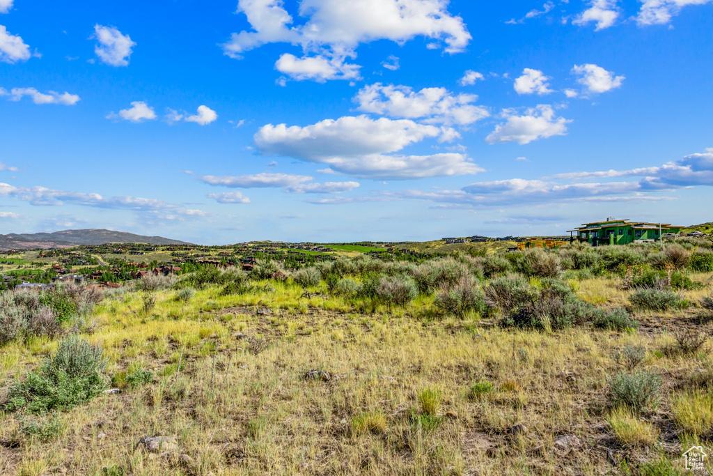 View of local wilderness featuring a mountain view