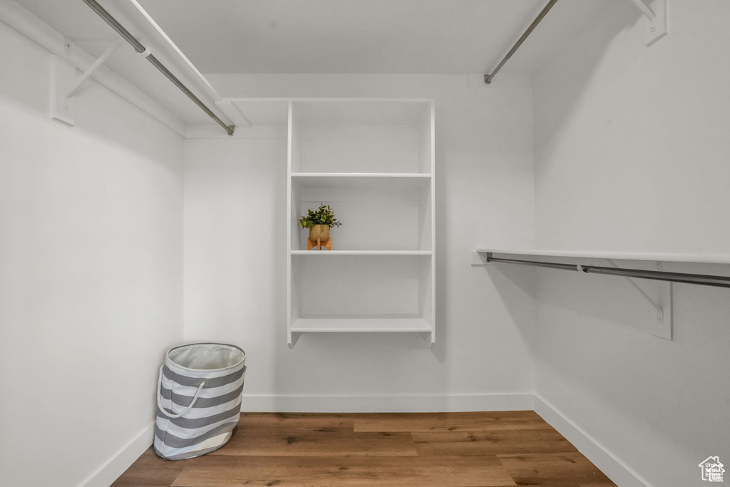 Spacious closet featuring hardwood / wood-style flooring