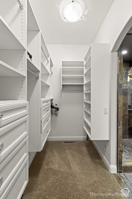 Spacious closet featuring dark colored carpet