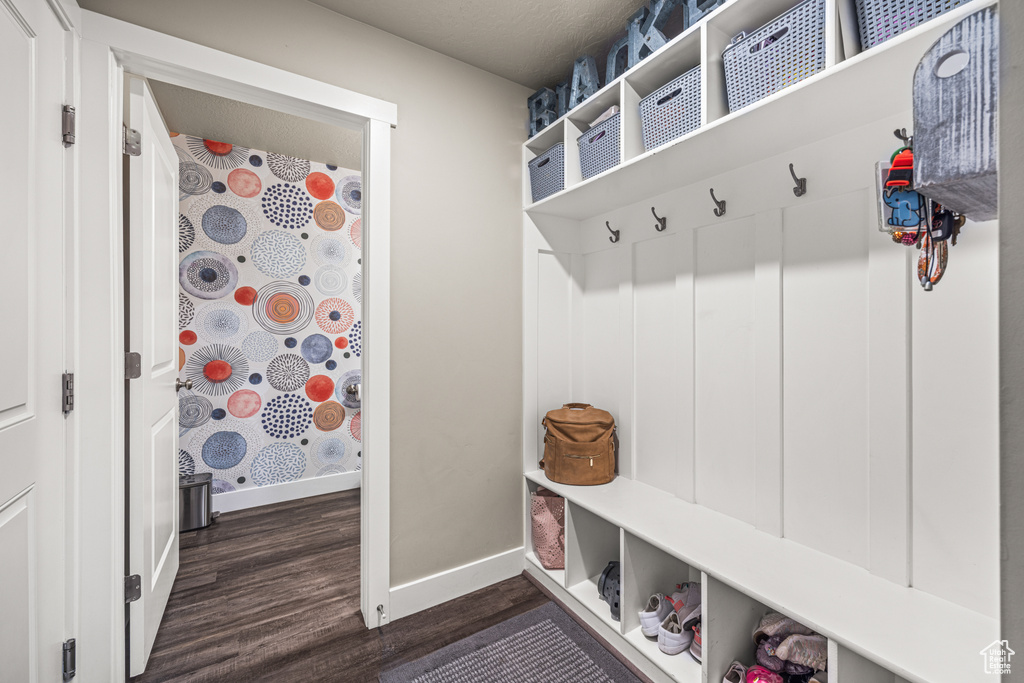 Mudroom featuring dark hardwood / wood-style floors