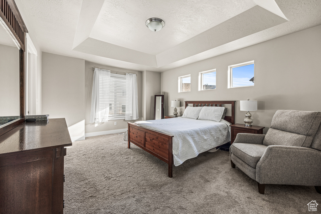 Carpeted bedroom featuring a raised ceiling and a textured ceiling