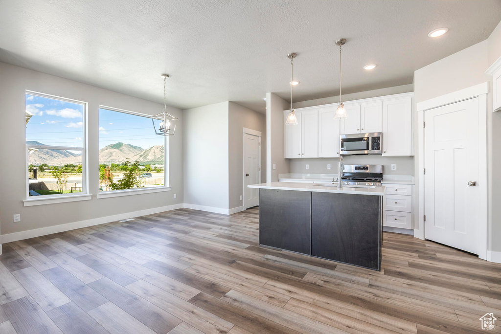 Kitchen featuring hardwood / wood-style floors, stainless steel appliances, a kitchen island with sink, and white cabinetry