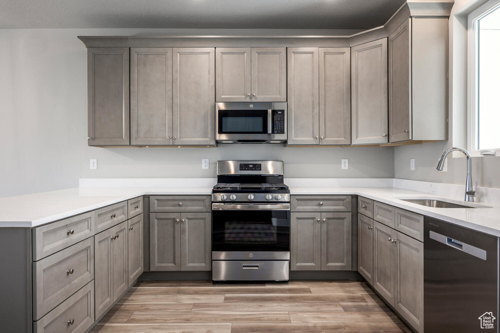 Kitchen featuring gray cabinets, stainless steel appliances, sink, and light hardwood / wood-style floors