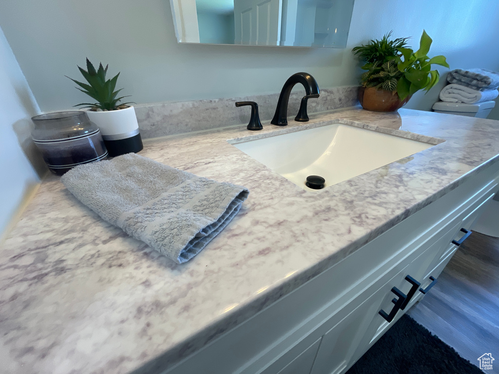 Bathroom with hardwood / wood-style floors and vanity