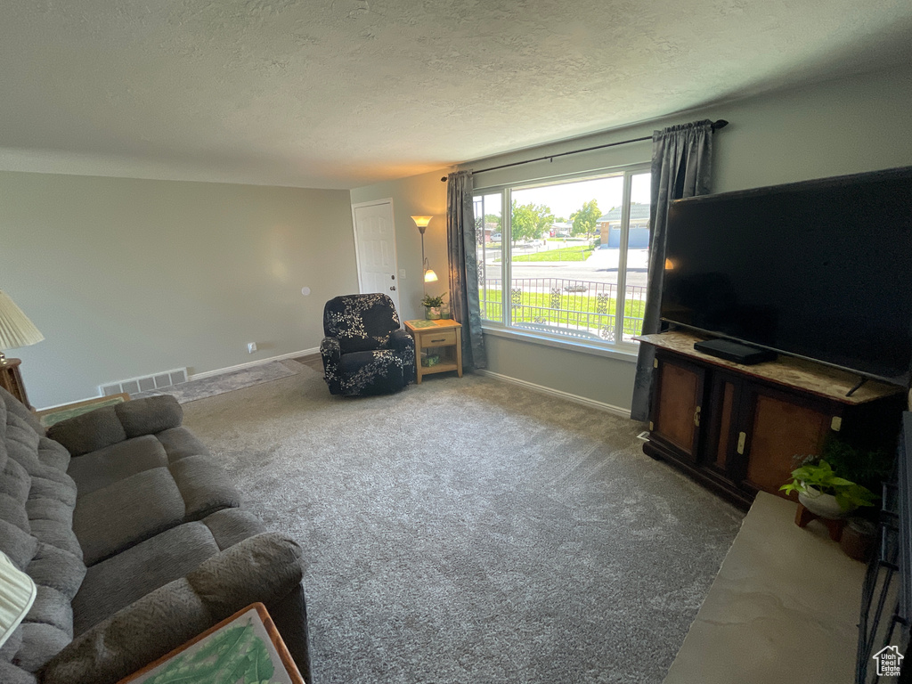 Carpeted living room with a textured ceiling