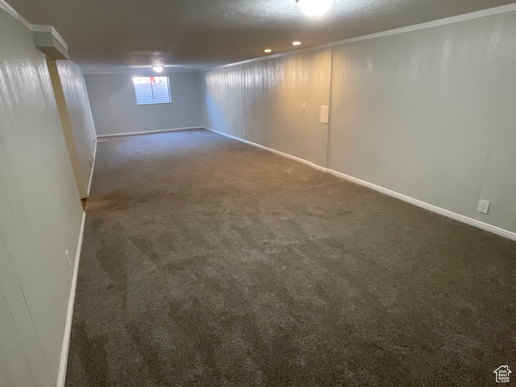 Basement with carpet flooring and crown molding