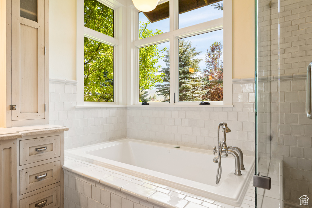 Bathroom featuring a healthy amount of sunlight and separate shower and tub