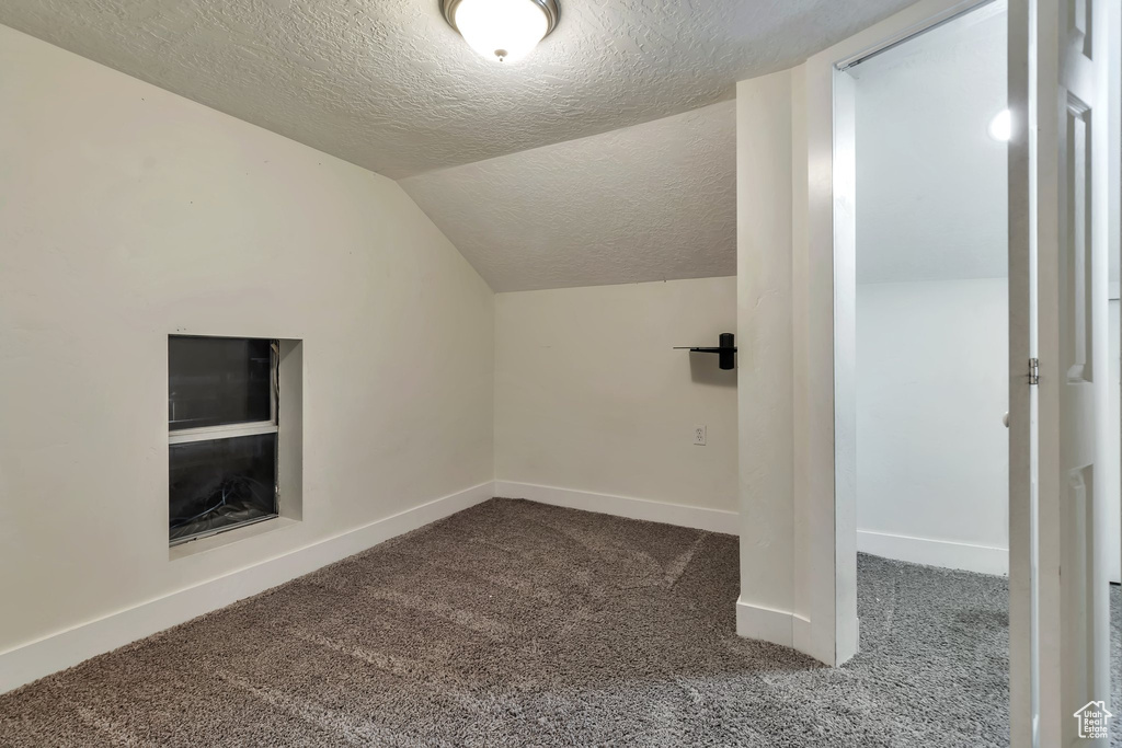 Additional living space featuring vaulted ceiling, a textured ceiling, and carpet