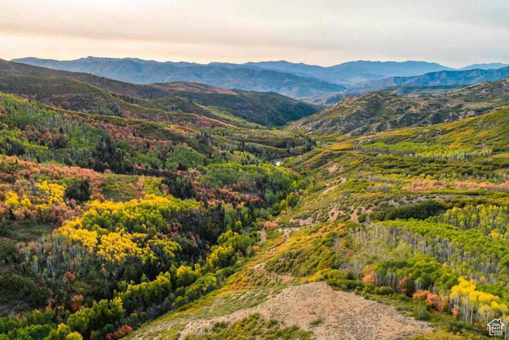 Property view of mountains