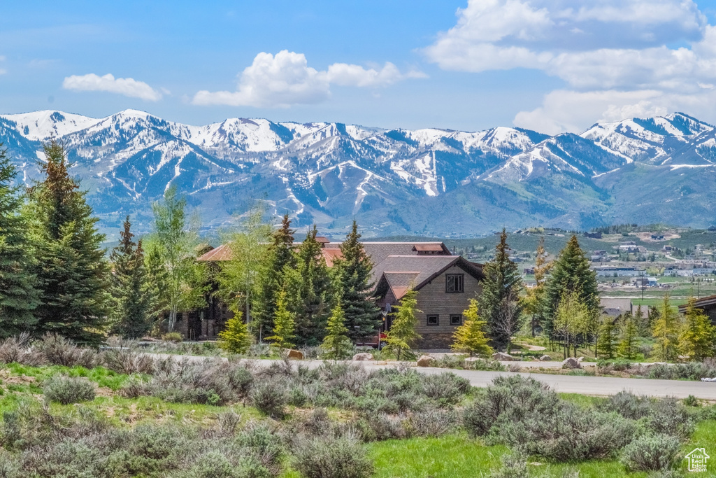 Property view of mountains