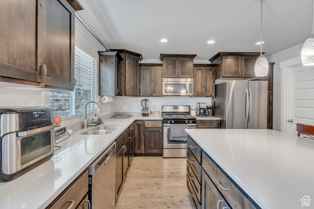 Kitchen featuring stainless steel appliances, dark brown cabinetry, sink, light wood-type flooring, and pendant lighting