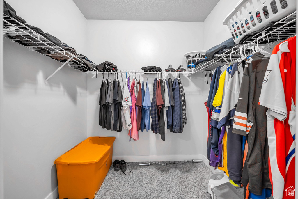 Walk in closet with carpet floors