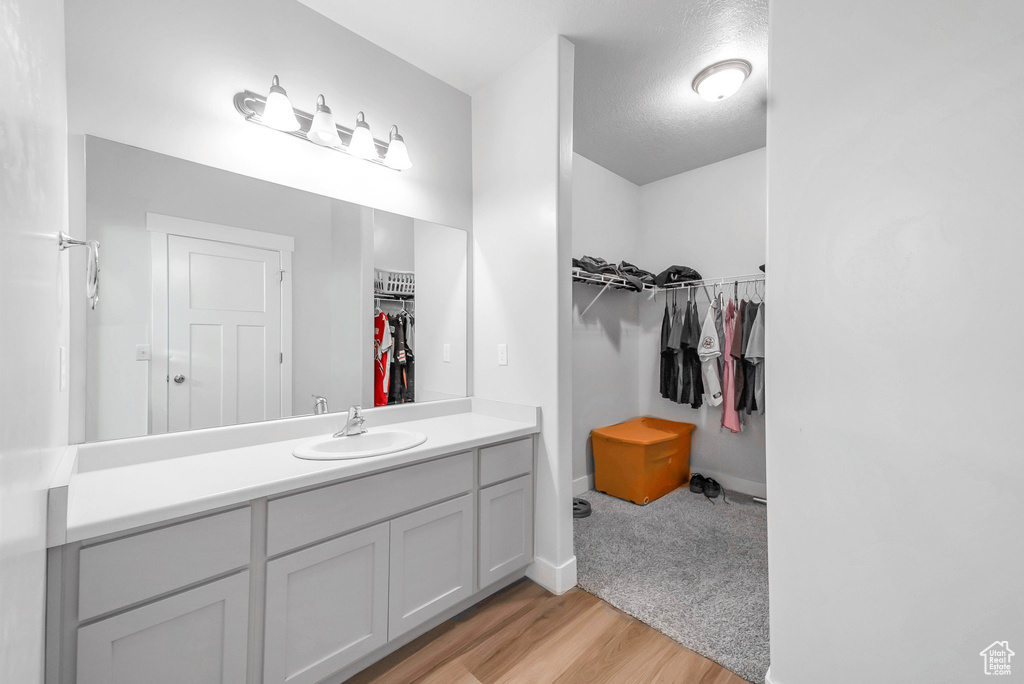 Bathroom with wood-type flooring and vanity