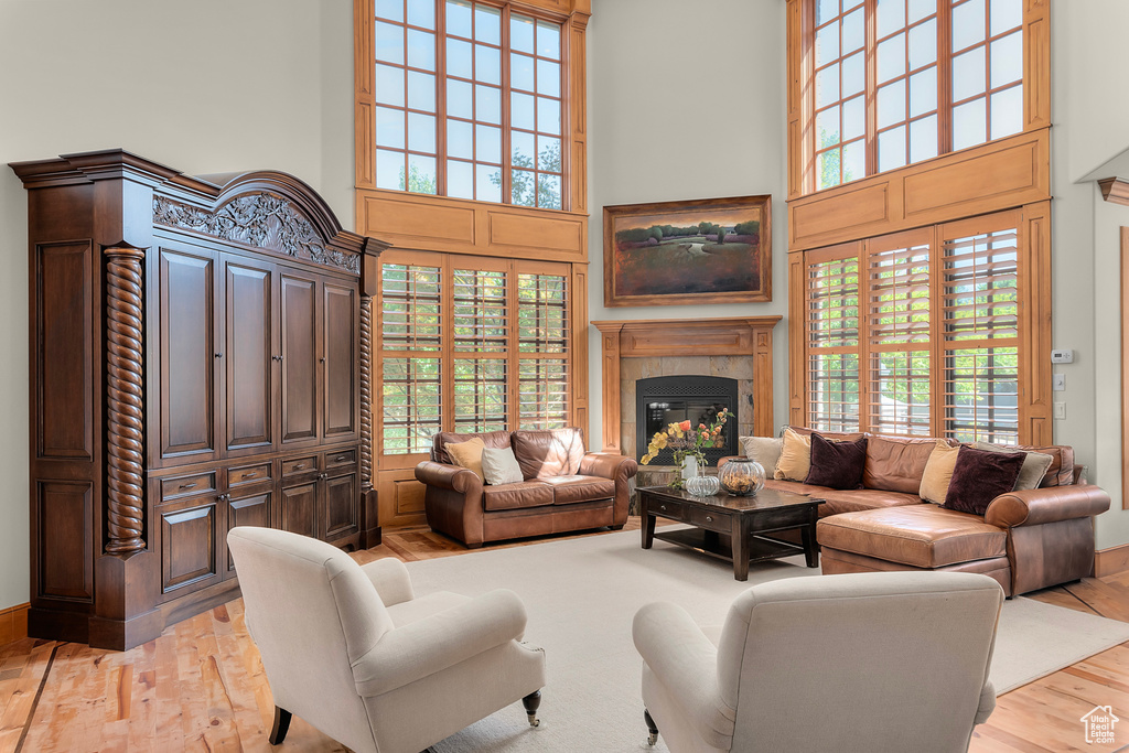 Living room featuring a high ceiling, a healthy amount of sunlight, and light hardwood / wood-style flooring