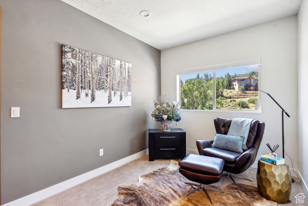 Sitting room with carpet