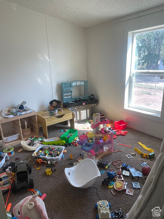 Playroom with carpet floors, plenty of natural light, and a textured ceiling