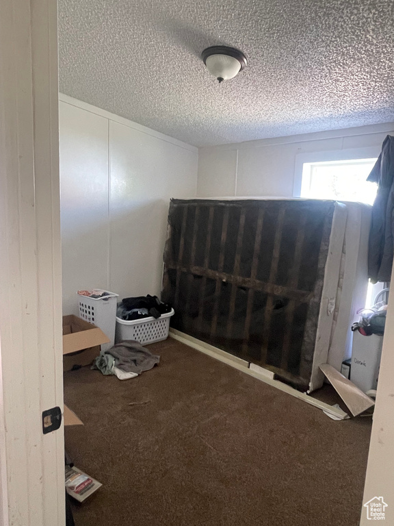 Carpeted bedroom featuring a textured ceiling