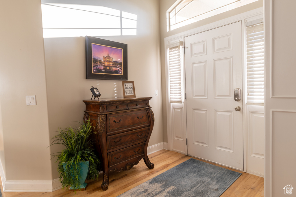 Foyer featuring a wealth of natural light and light hardwood / wood-style floors