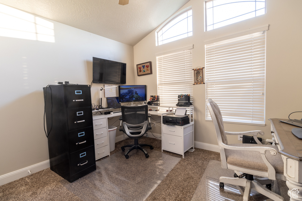 Carpeted office featuring a textured ceiling, plenty of natural light, and high vaulted ceiling