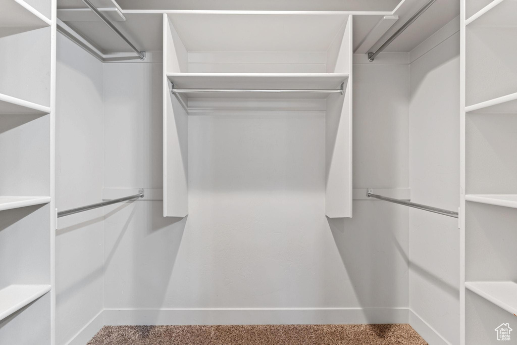 Spacious closet with carpet