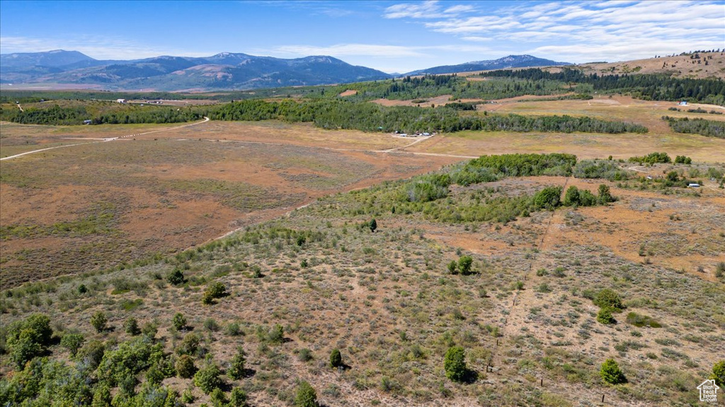 Drone / aerial view featuring a mountain view