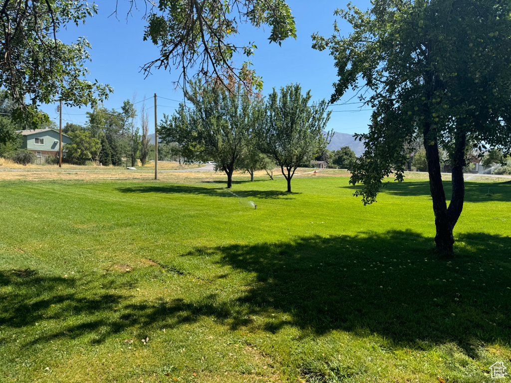 View of community with a lawn