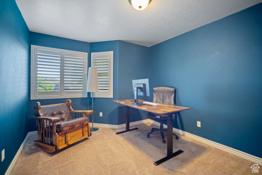 Carpeted office space featuring a textured ceiling