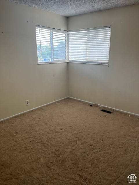 Unfurnished room with carpet flooring and a textured ceiling