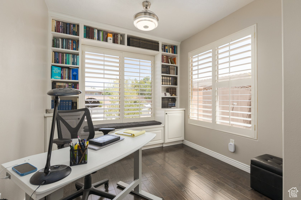 Office with dark wood-type flooring