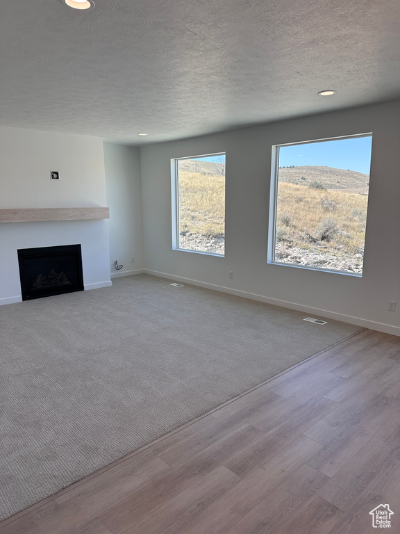 Unfurnished living room with a textured ceiling, light hardwood / wood-style flooring, and a mountain view