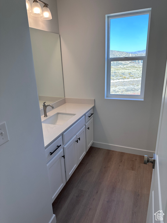 Bathroom with wood-type flooring and vanity