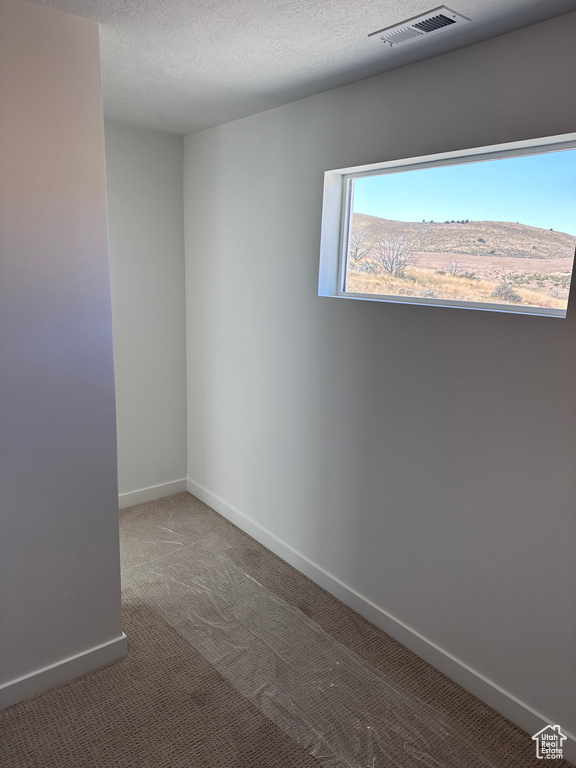 Empty room with a textured ceiling and carpet floors